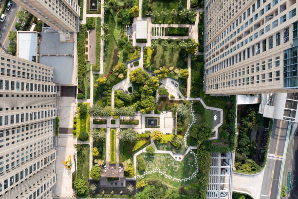 istock urban roof garden 1598713570