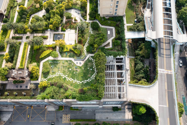 istock urban roof garden 1598714666