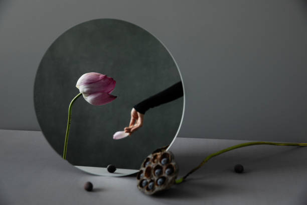 istock Fleeting beauty of a flower 1598714687