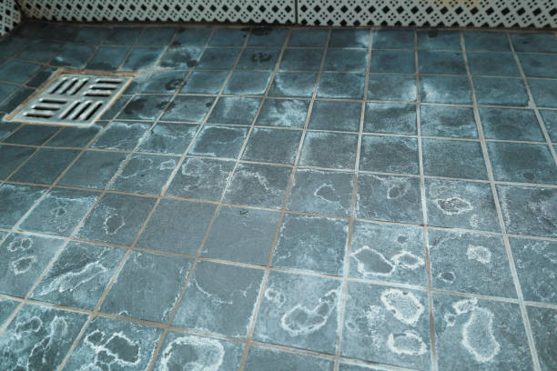istock Extremely dirty bath drain mesh, hole and tiles surface covered with limescale. Marks on tiles in a shower from the water and limescale. white chalky deposit and stains 1598741310