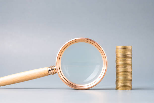 Check the financial status, inspect income, investment plan