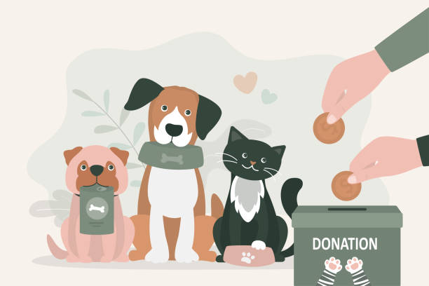 Adorable pets holds empty bowls. Volunteering and assistance to animals. Hands putting coins into donation box. Money and food donation for pets. Feed for homeless dogs and cats Adorable pets holds empty bowls. Volunteering and assistance to animals. Hands putting coins into donation box. Money and food donation for pets. Feed for homeless dogs and cats. vector illustration money cat stock illustrations