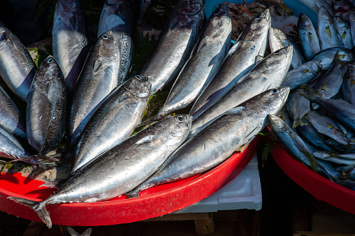 Athens, Greece - 3 March 2023 - Fish at the  local fresh Varvakios Central Municipal Market in Athens