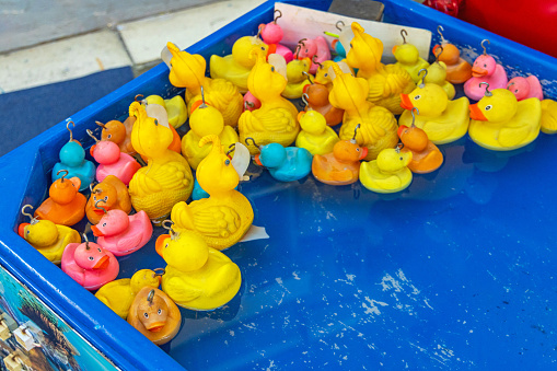 Yellow Rubber Ducks in Pool Amusement Park Fishing Game