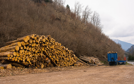 A pile of recently cut timber and flatbed container truck trailers near the village of Forni Avoltri in Carnia, Udine Province, Friuli-Venezia Giulia, north east Italy