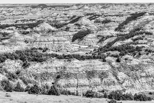 The North Dakota Badlands in Southern Theodore Roosevelt National Park