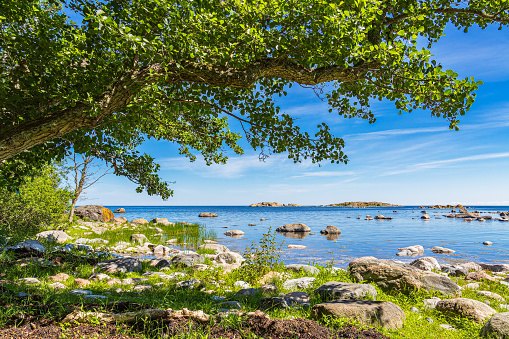 Landscape with rocks and tree on the island Slado in Sweden.