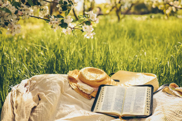 istock Open bible in the garden, christian concept 1598832181