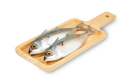 Fresh mackerel fish with square wooden tray isolated on white background ,include clipping path