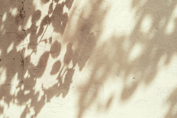 istock Abstract tree leaves shadows on brown concrete wall texture with roughness and irregularities. Abstract nature concept background. Copy space for text overlay 1598851465