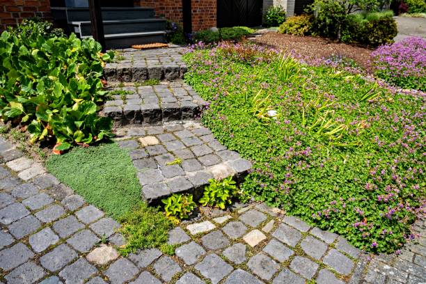istock Brick pathway leads up to brick building with steps leading up to it in Germany 1598904588