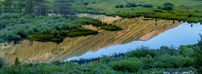 Forested mountains reflect in a still pond in a meadow