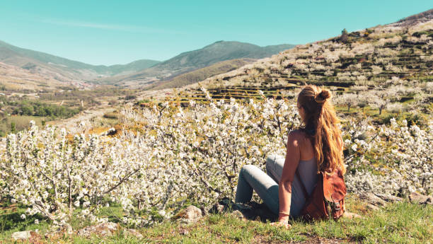 Hermosa panorámica del valle del Jerte con flor de cerezo en España- Extremadura - foto de stock