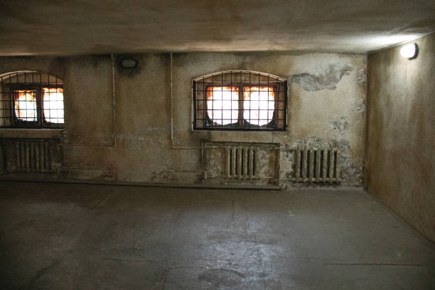 istock prison cell, pre-trial detention center, prison window, imprisonment 1598928618