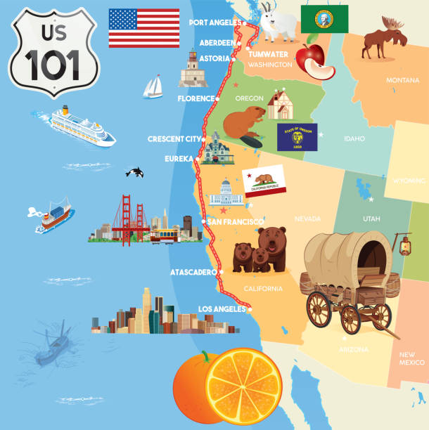 illustrations, cliparts, dessins animés et icônes de usa map, highway 101 u.s. route map poster - florence oregon