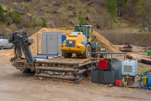istock Timber Yard in North East Italy 1598959075