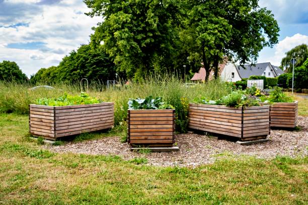 ドイツの緑豊かな野原の上に座っている木製プランターのグループ - vegetable garden green ground flower head ストックフォトと画像