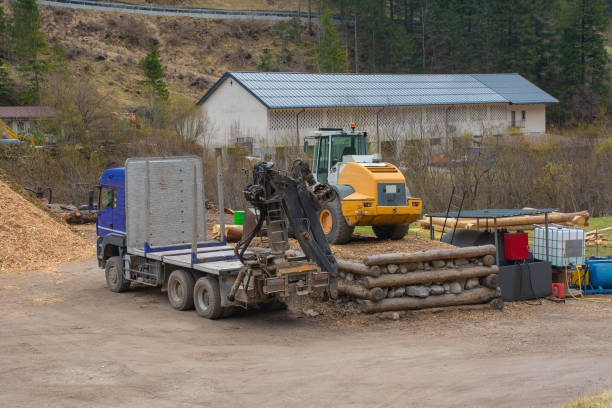 istock Timber Yard in North East Italy 1598959619