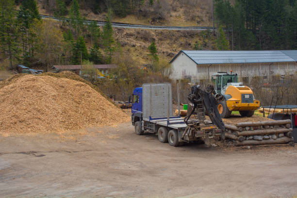 istock Timber Yard in North East Italy 1598959621