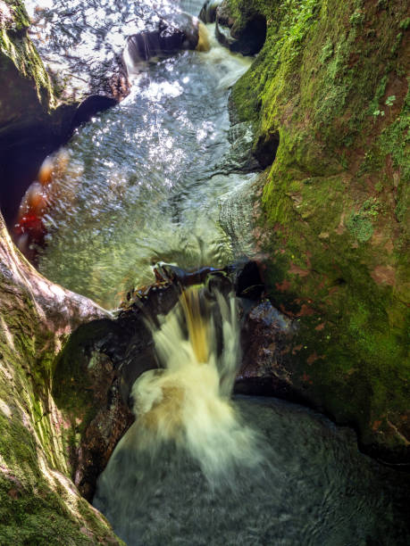 istock The Devil's pulpit in Finnich, Scotland 1598966999