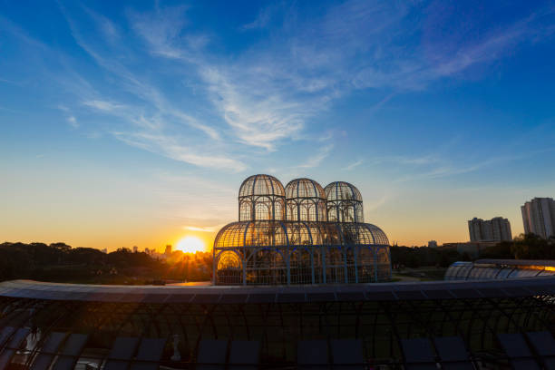 クリチバ植物園の夕日。 - curitiba ストックフォトと画像