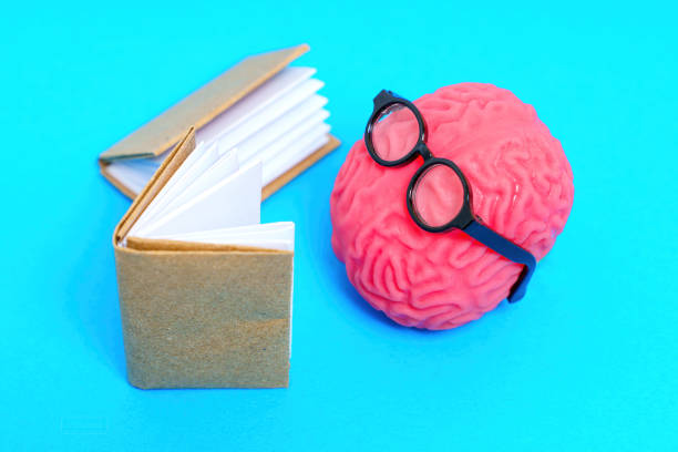 istock Human Brain Model Adorned with Glasses Reading Books 1598978671