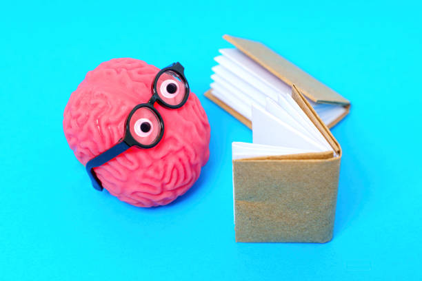 istock Cute Human Brain Character Studies a Ledger 1598980275
