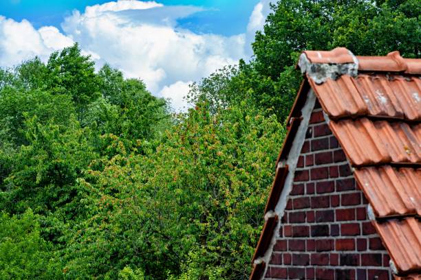 edificio de ladrillo rojo con techo de tejas rojas y árboles al fondo en alemania - house farm brick chimney fotografías e imágenes de stock