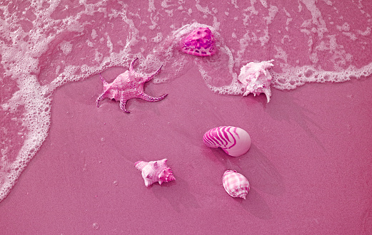 Surreal pop art of French rose pink colored seashells on the sandy beach