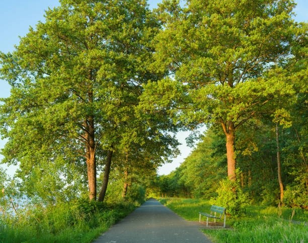 Camera: Hasselblad XD 1 - 100MP Sensor / Location: Lake Steinhuder Meer, Lower Saxony, Germany