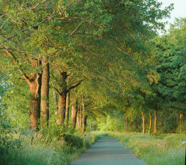 Camera: Hasselblad XD 1 - 100MP Sensor / Location: Lake Steinhuder Meer, Lower Saxony, Germany