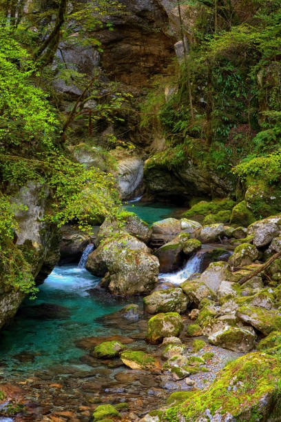 istock Very nice blue Soca river, Kobarid, Slovenia. 1599056743