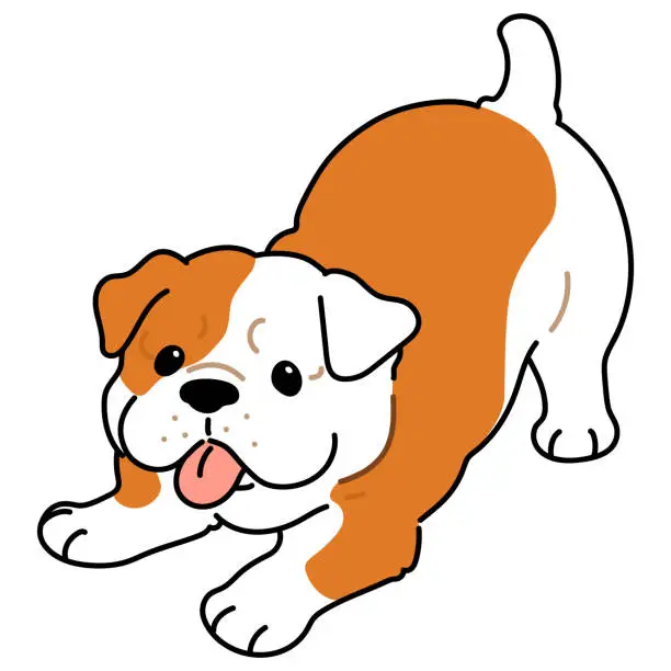 Vector illustration of Simple and cute illustration of Bulldog being playful