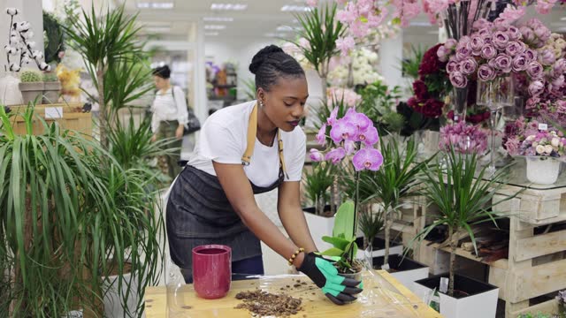 Female florist Black ethnicity doing quality control of orchid at the flower shop