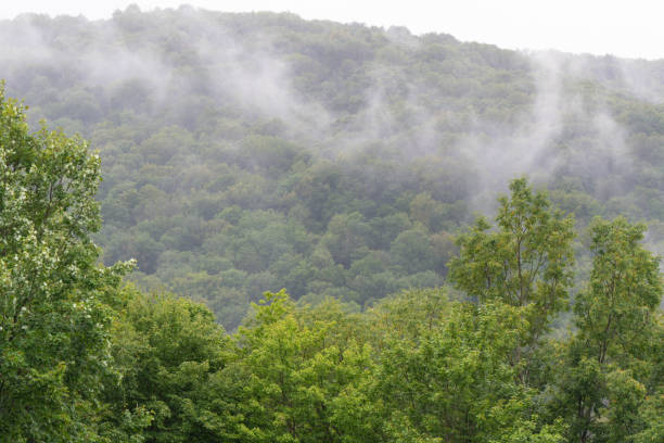 istock rainy day US valley town 1599121357