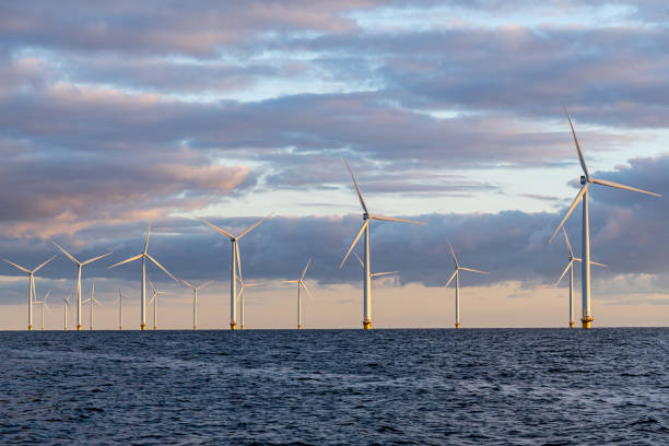 offshore wind farm offshore wind farm at sunset offshore wind farm stock pictures, royalty-free photos & images
