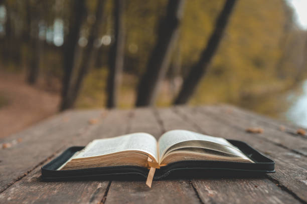 istock Open Bible on a wooden board near the river 1599149681