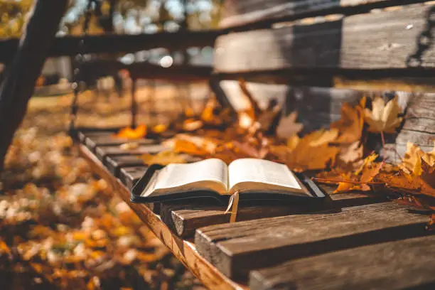 Photo of Open book on wood planks over outdoor natural background