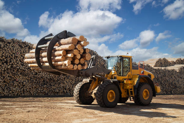 caricamento dei registri con un caricatore speciale. - lumber industry timber truck forklift foto e immagini stock