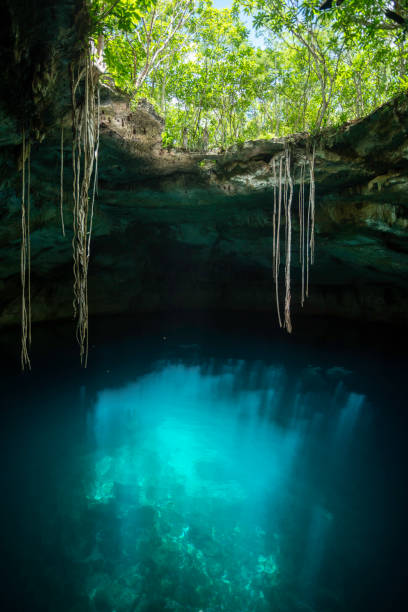 istock Noh Mozon Cenote Yucatan Peninsula Mexico 1599240385