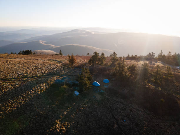 골든 아워 동안 노스캐롤라이나 서부의 roan mountain 너머로 보이는 조감도 - blue ridge mountains north carolina pine tree hiking 뉴스 사진 이미지