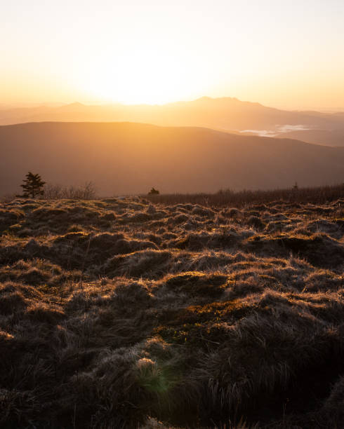 sunrise at roan mountain in western north carolina - cherokee north carolina asheville blue ridge parkway imagens e fotografias de stock