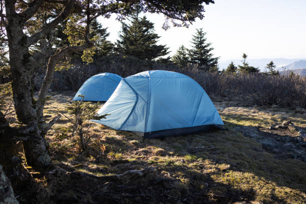 tent camping on roan mountain in the appalachian mountains of western north carolina - blue ridge mountains appalachian mountains appalachian trail forest imagens e fotografias de stock