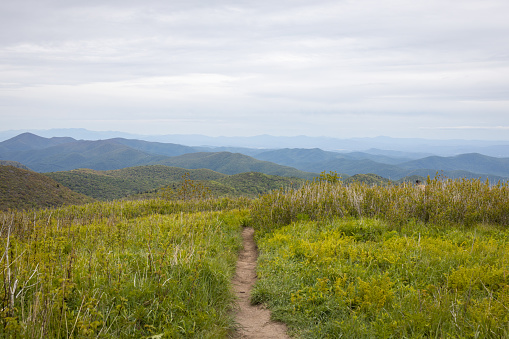 Hiking on the Art Loeb Trail at Black Balsam in the mountains of western North Carolina in the summer.