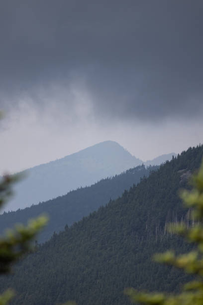 노스캐롤라이나 서부의 미첼 산 정상에서 바라본 풍경 - blue ridge mountains north carolina pine tree hiking 뉴스 사진 이미지
