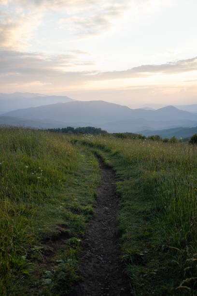 letztes abendlicht am max patch in den bergen im westen von north carolina - wnc stock-fotos und bilder