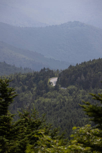 노스캐롤라이나 서부의 미첼 산 정상에서 바라본 풍경 - blue ridge mountains north carolina pine tree hiking 뉴스 사진 이미지