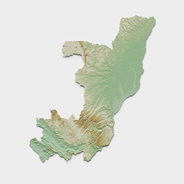 istock Republic of the Congo Topographic Relief Map - 3D Render 1599290008
