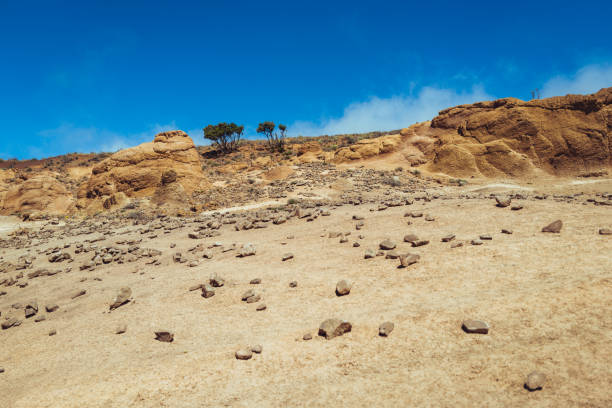 Landscapes of Tenerife, Canary Islands. Parque rural de Teno