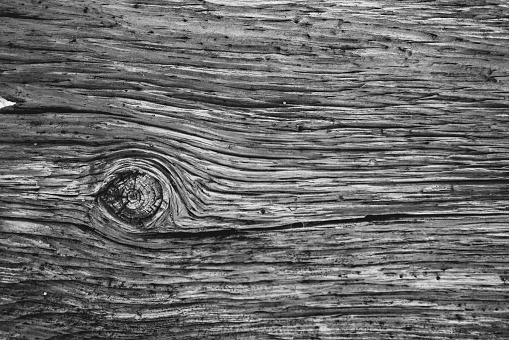Black and white wood